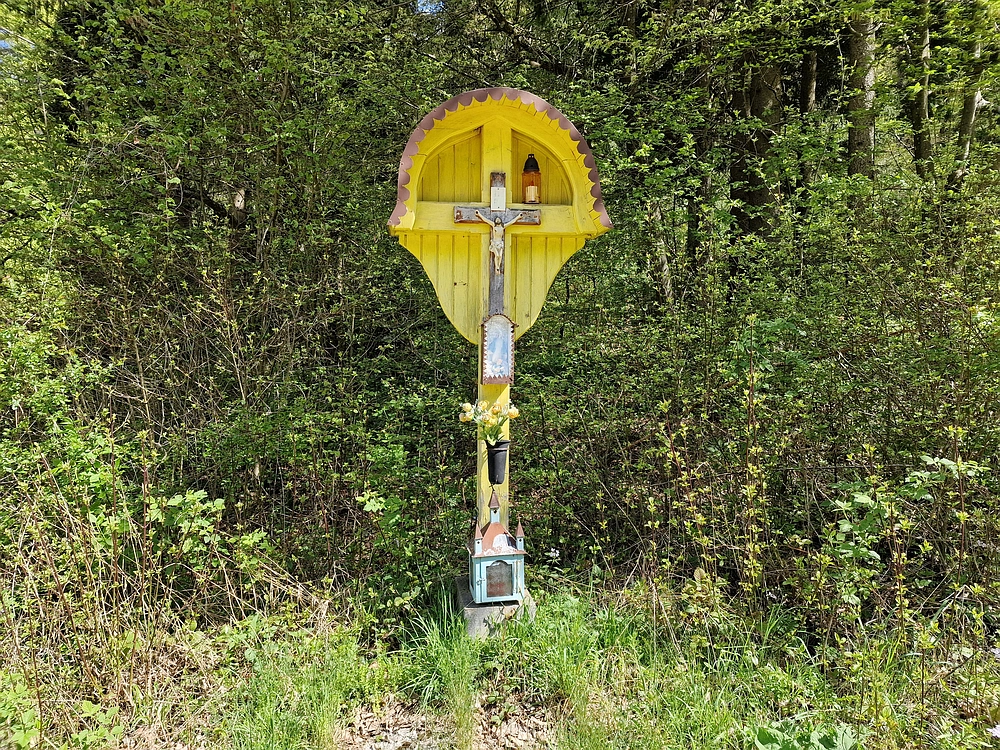 Slika je vidna v Google Chromu.