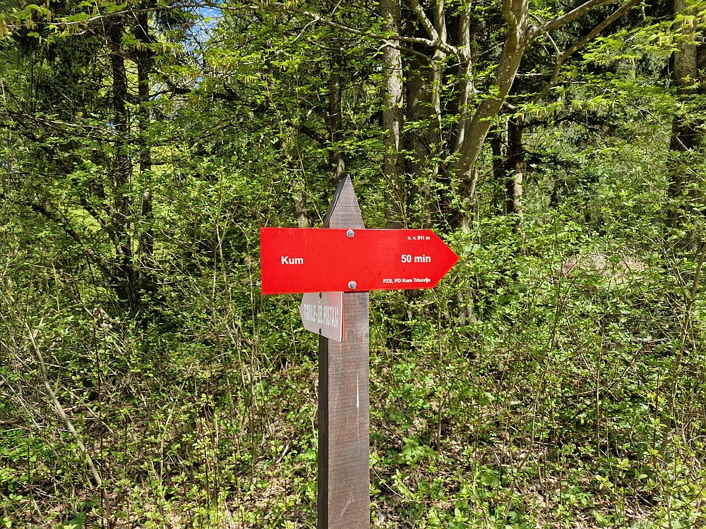 Slika je vidna v Google Chromu.