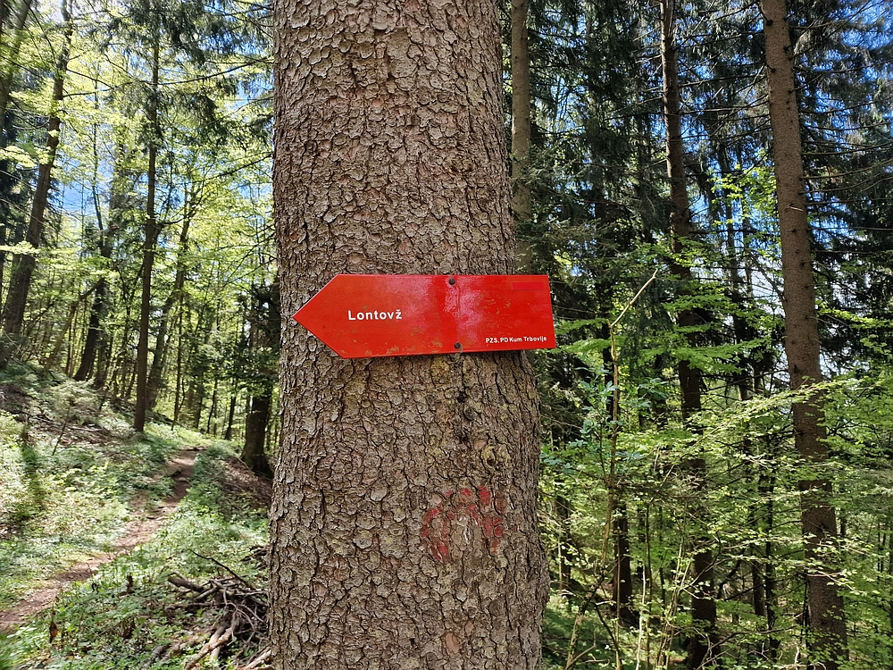 Slika je vidna v Google Chromu.