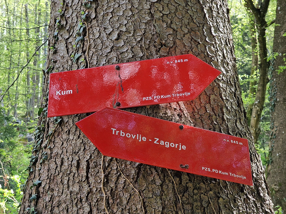 Slika je vidna v Google Chromu.