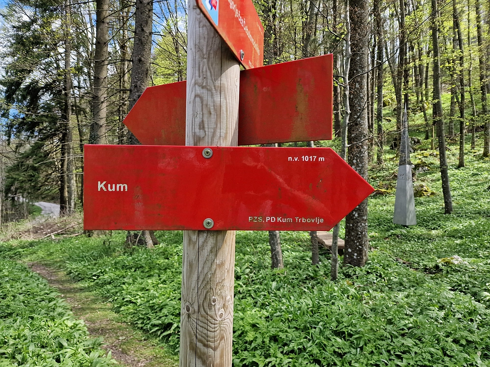 Slika je vidna v Google Chromu.