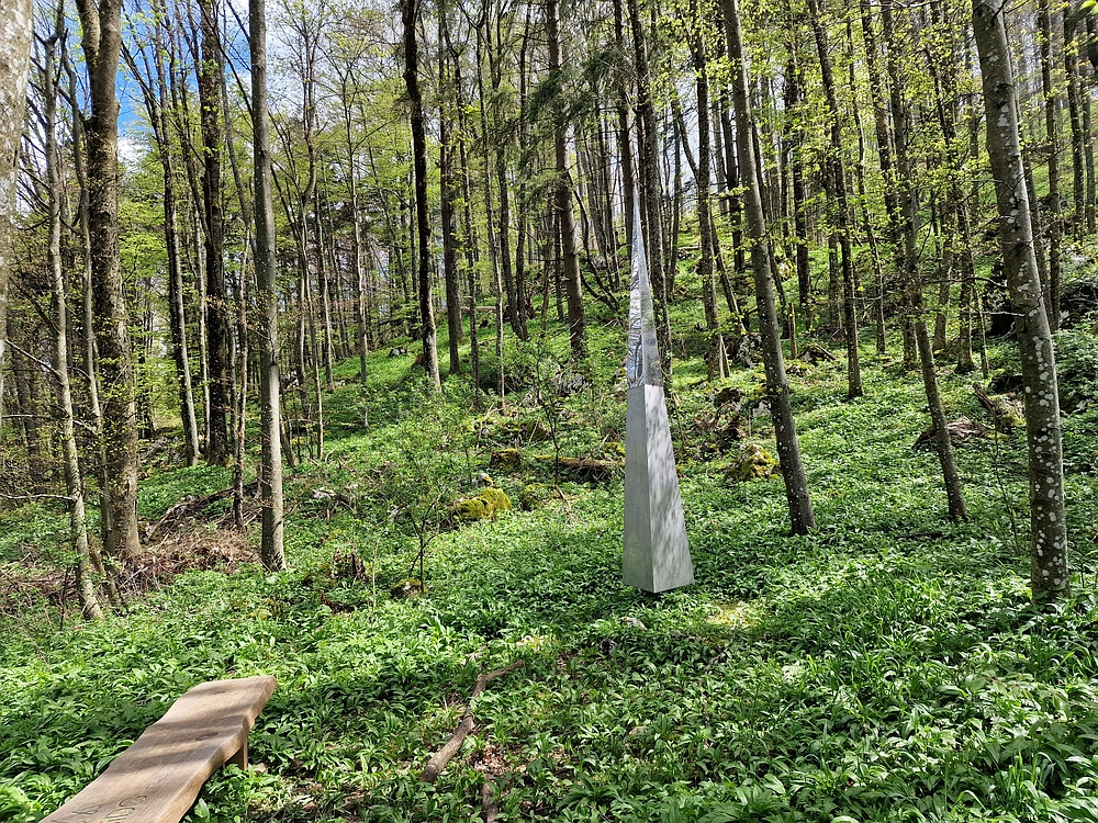 Slika je vidna v Google Chromu.