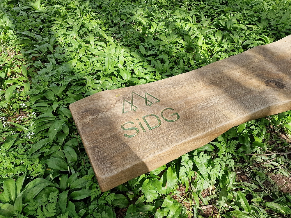 Slika je vidna v Google Chromu.