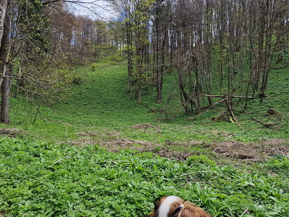 Slika je vidna v Google Chromu.