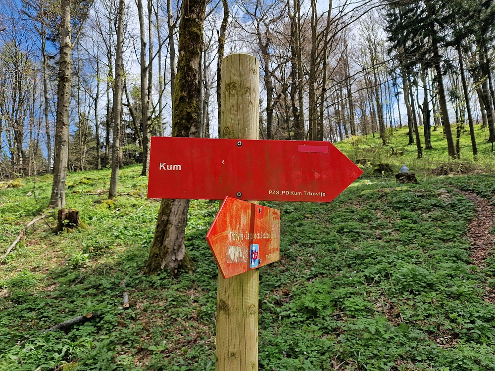 Slika je vidna v Google Chromu.