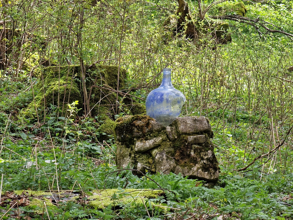 Slika je vidna v Google Chromu.