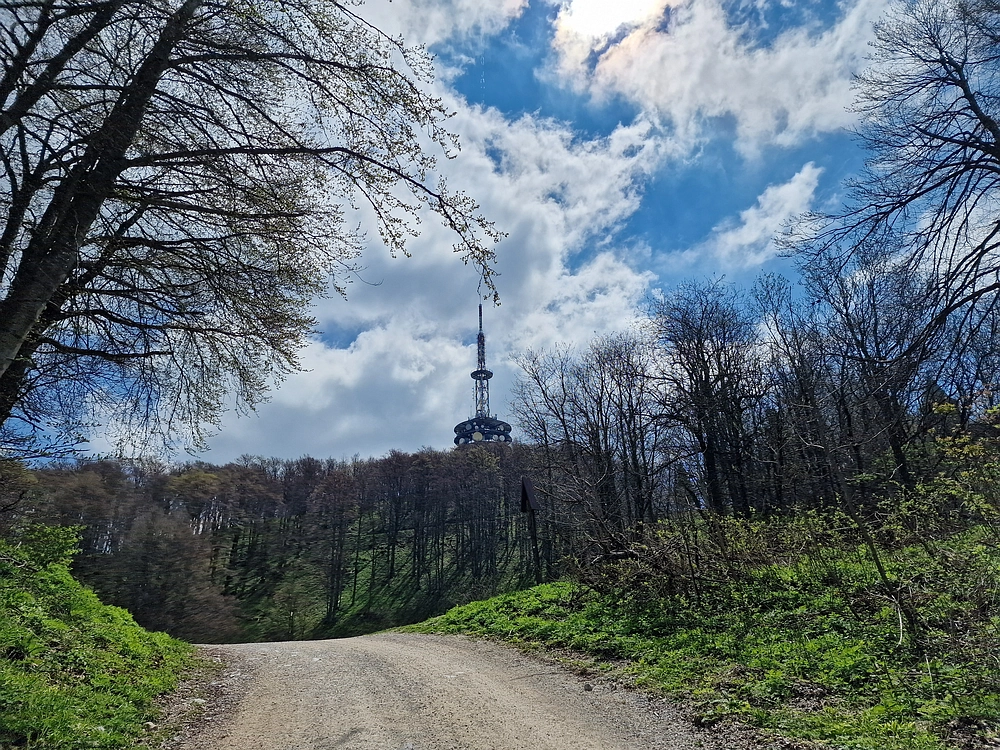 Slika je vidna v Google Chromu.