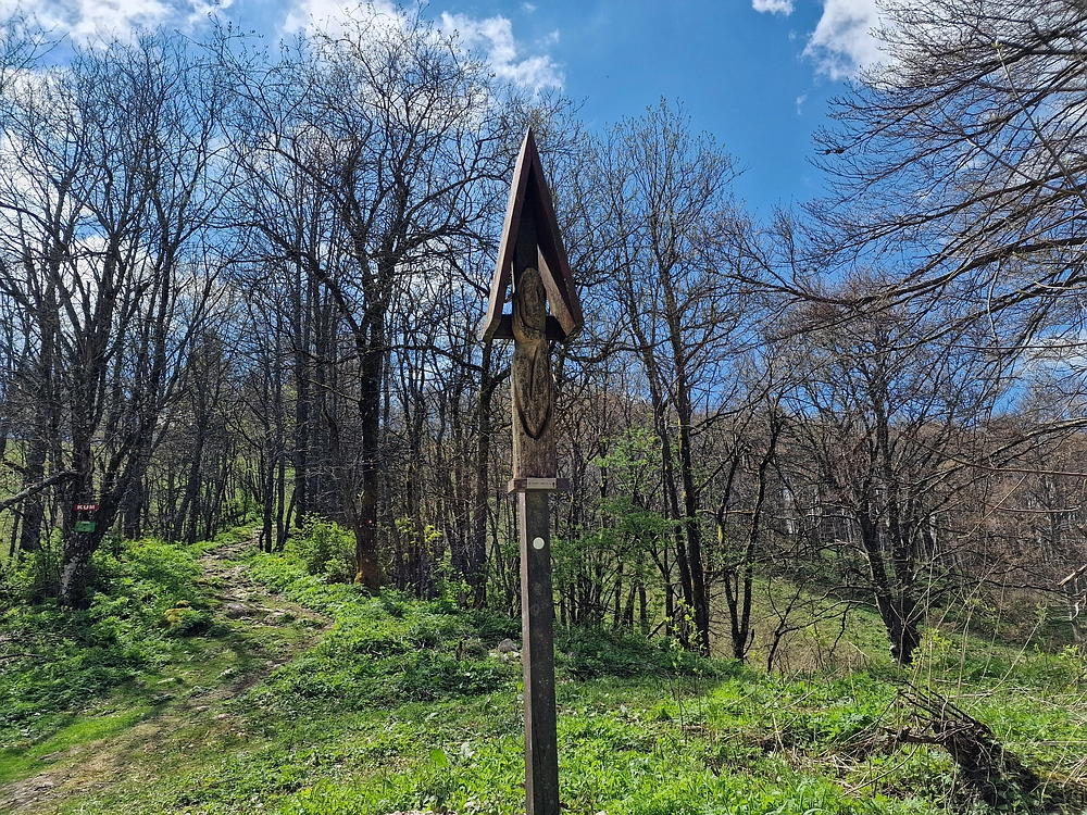 Slika je vidna v Google Chromu.