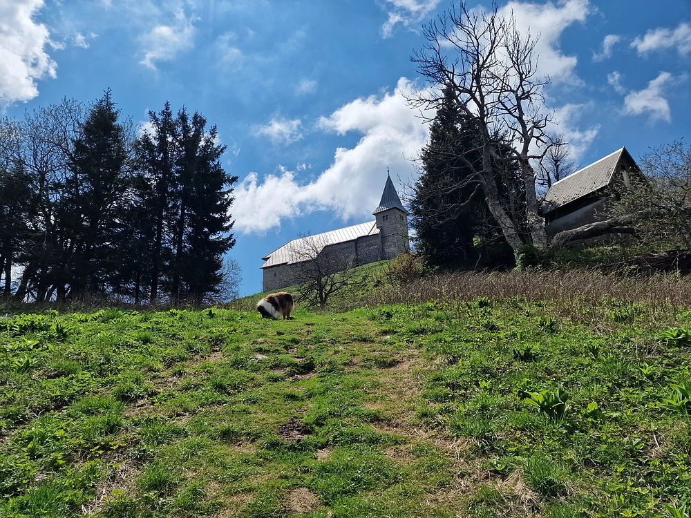 Slika je vidna v Google Chromu.