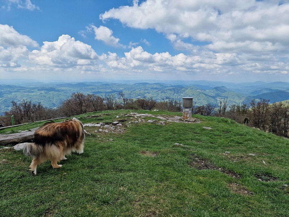 Slika je vidna v Google Chromu.