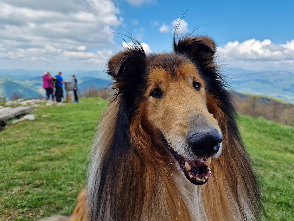 Slika je vidna v Google Chromu.