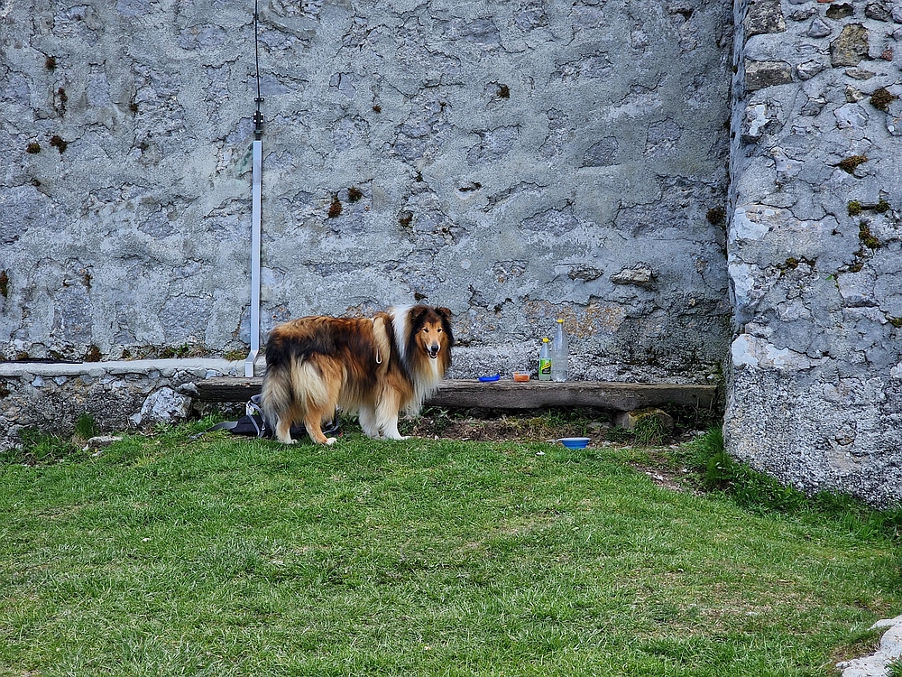 Slika je vidna v Google Chromu.