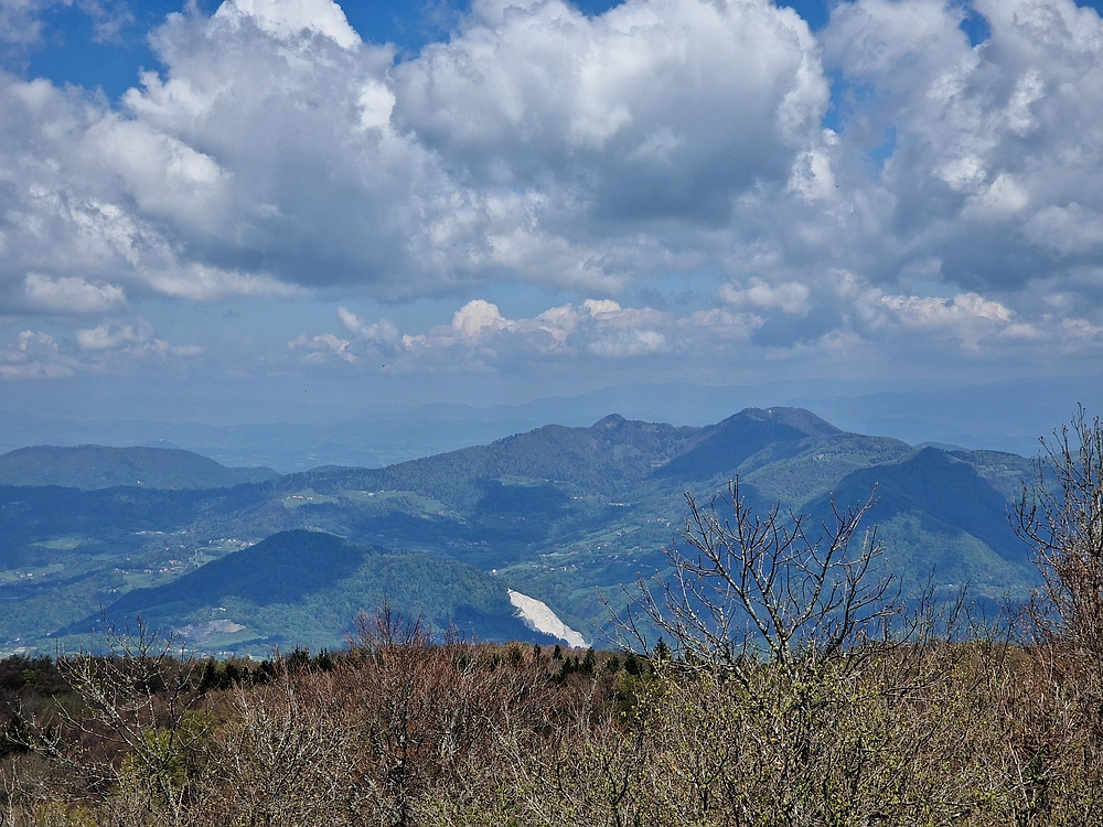 Slika je vidna v Google Chromu.