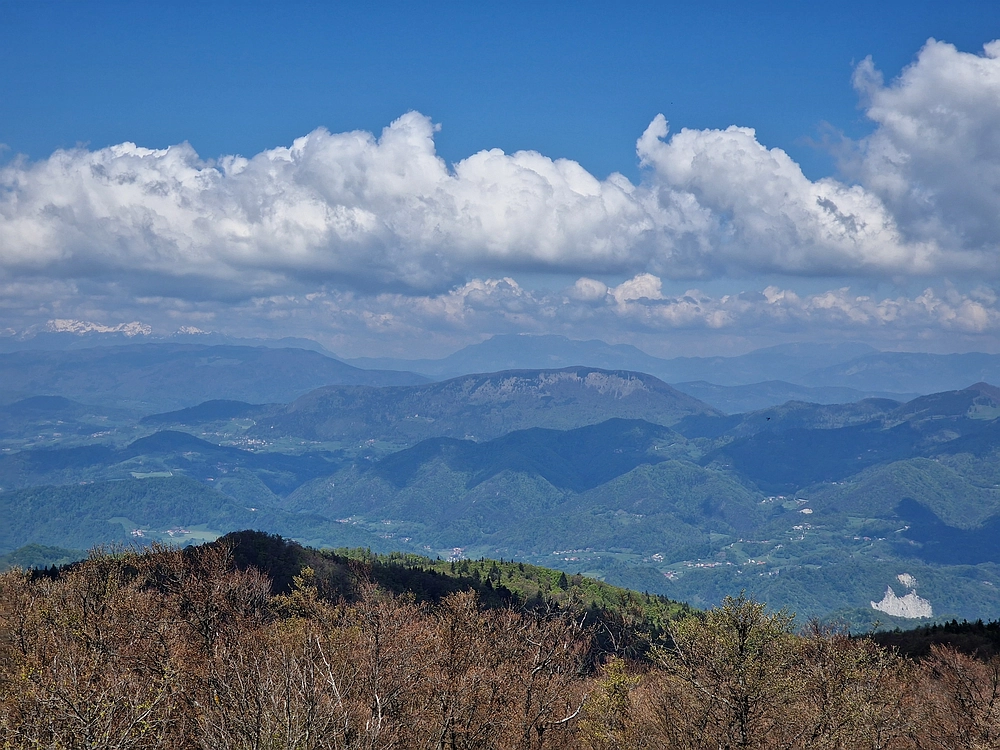Slika je vidna v Google Chromu.