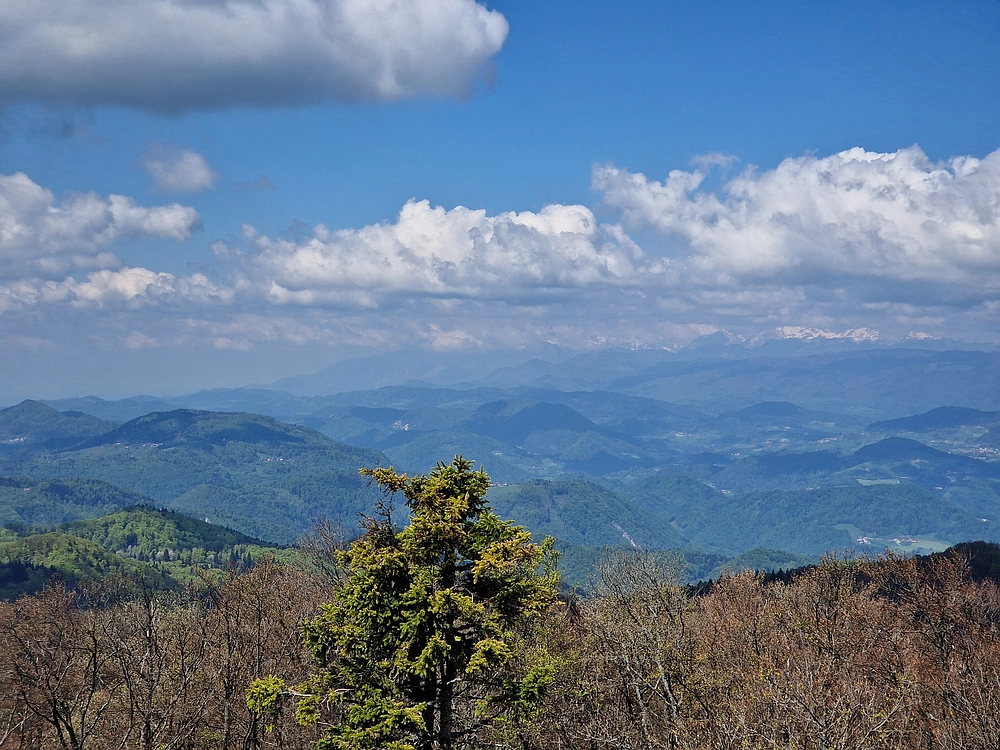 Slika je vidna v Google Chromu.