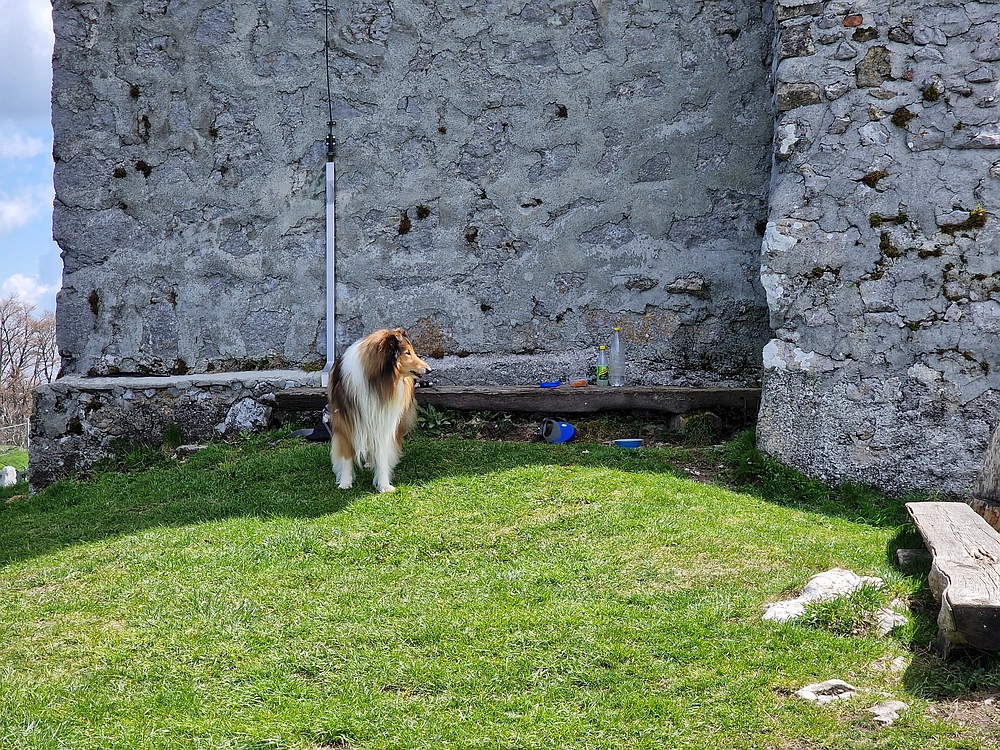 Slika je vidna v Google Chromu.