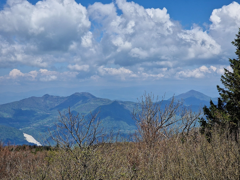 Slika je vidna v Google Chromu.