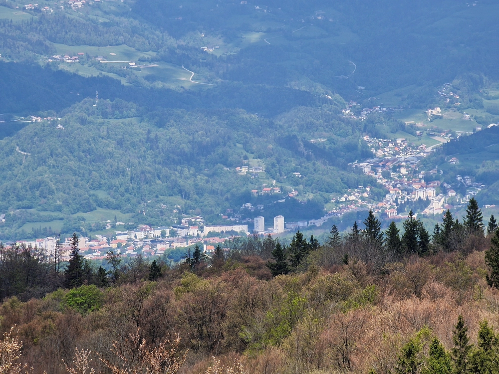 Slika je vidna v Google Chromu.