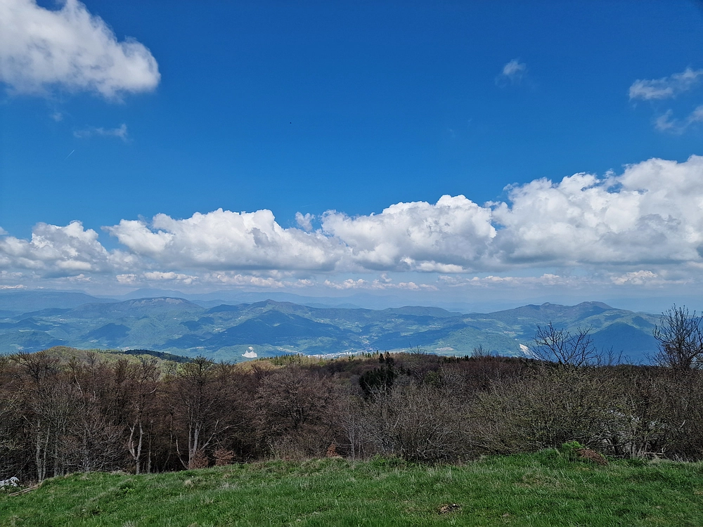 Slika je vidna v Google Chromu.
