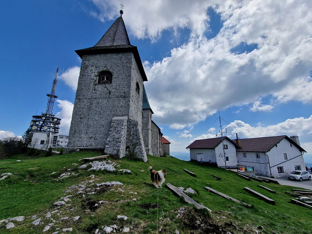 Slika je vidna v Google Chromu.