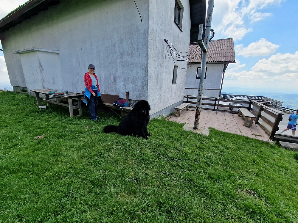 Slika je vidna v Google Chromu.