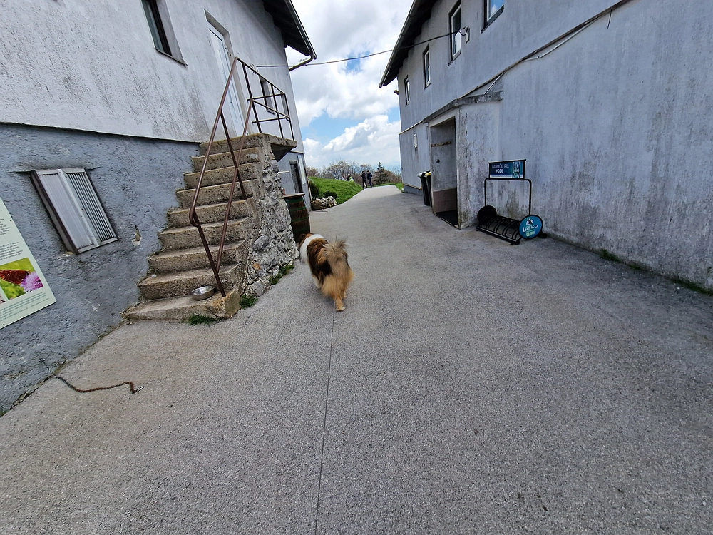 Slika je vidna v Google Chromu.