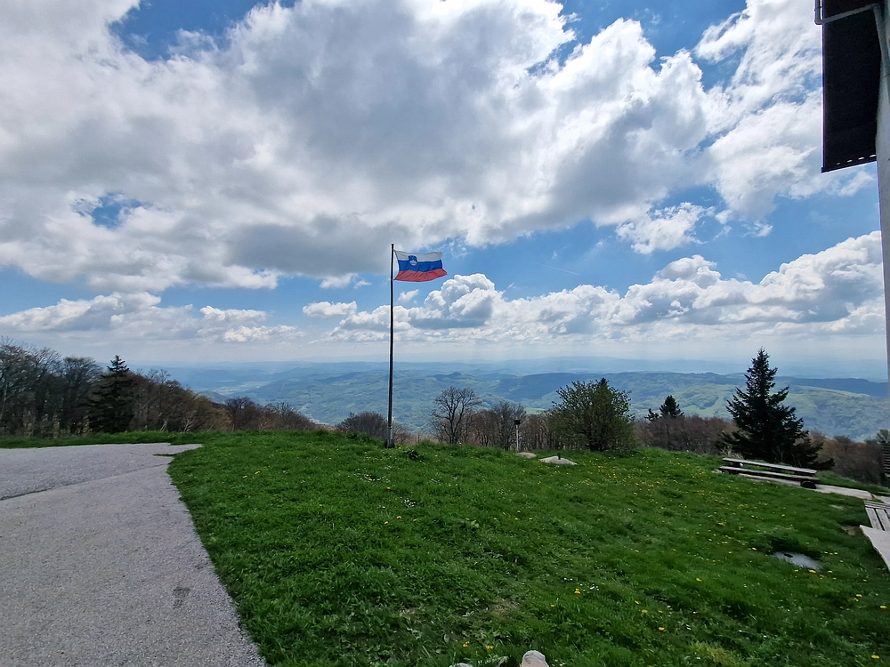 Slika je vidna v Google Chromu.