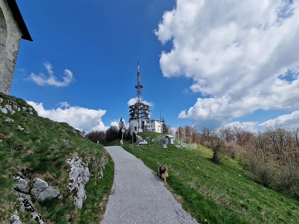 Slika je vidna v Google Chromu.