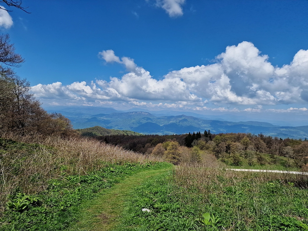 Slika je vidna v Google Chromu.