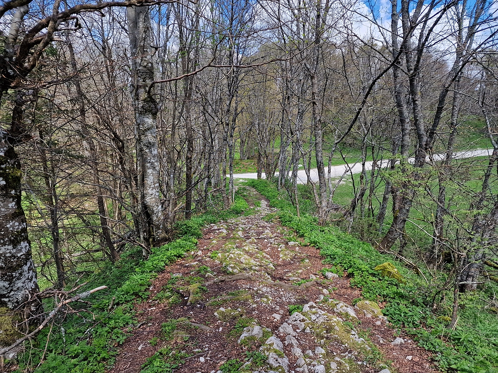 Slika je vidna v Google Chromu.