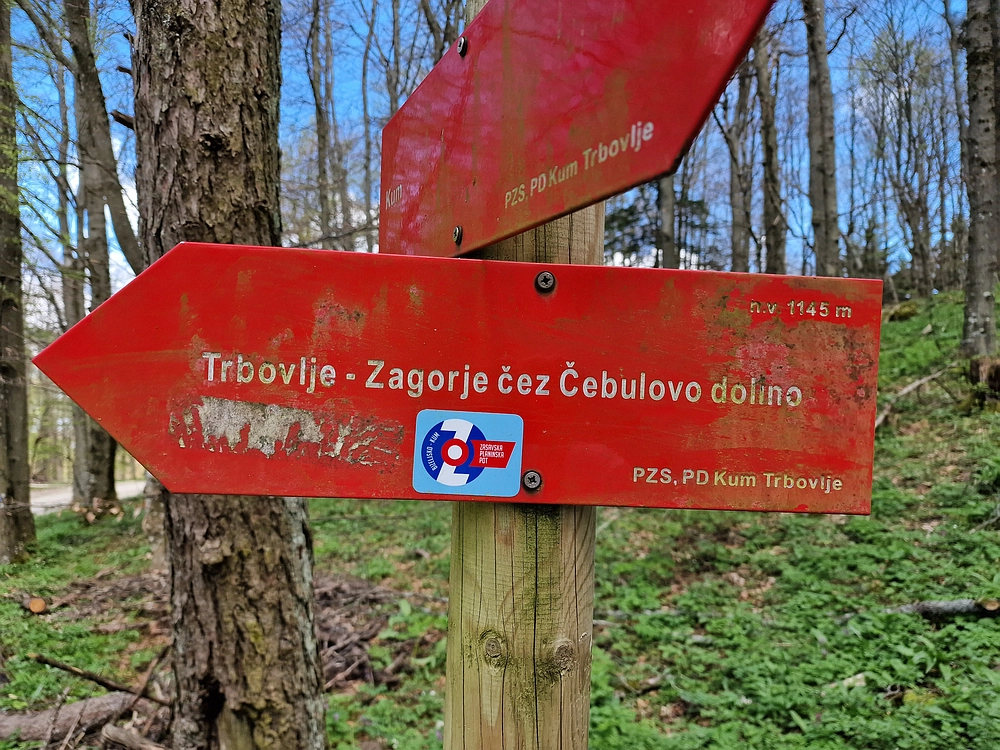 Slika je vidna v Google Chromu.