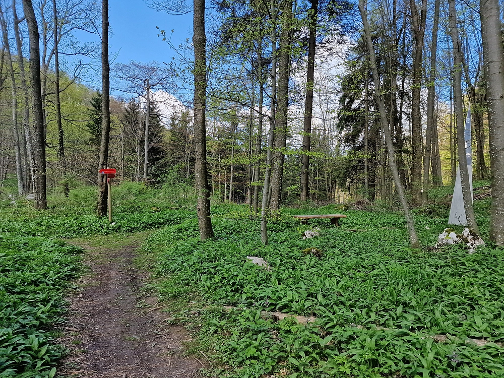 Slika je vidna v Google Chromu.