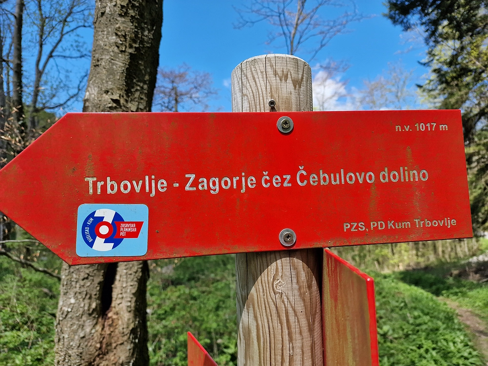 Slika je vidna v Google Chromu.