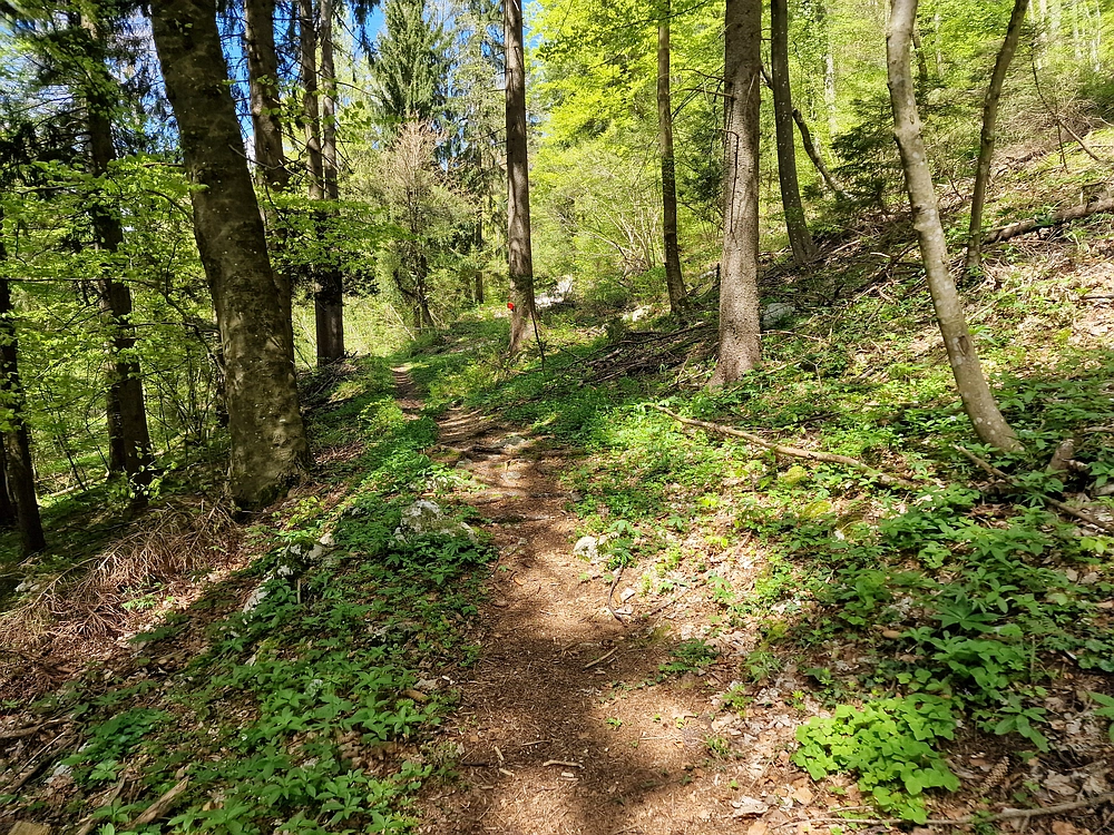 Slika je vidna v Google Chromu.