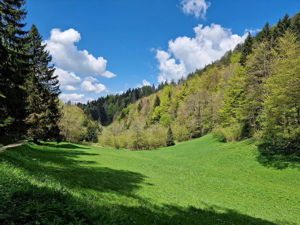 Slika je vidna v Google Chromu.