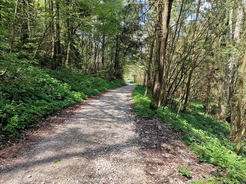 Slika je vidna v Google Chromu.