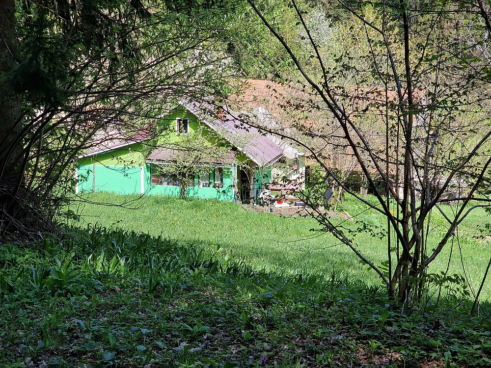 Slika je vidna v Google Chromu.