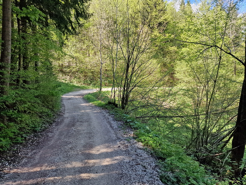 Slika je vidna v Google Chromu.