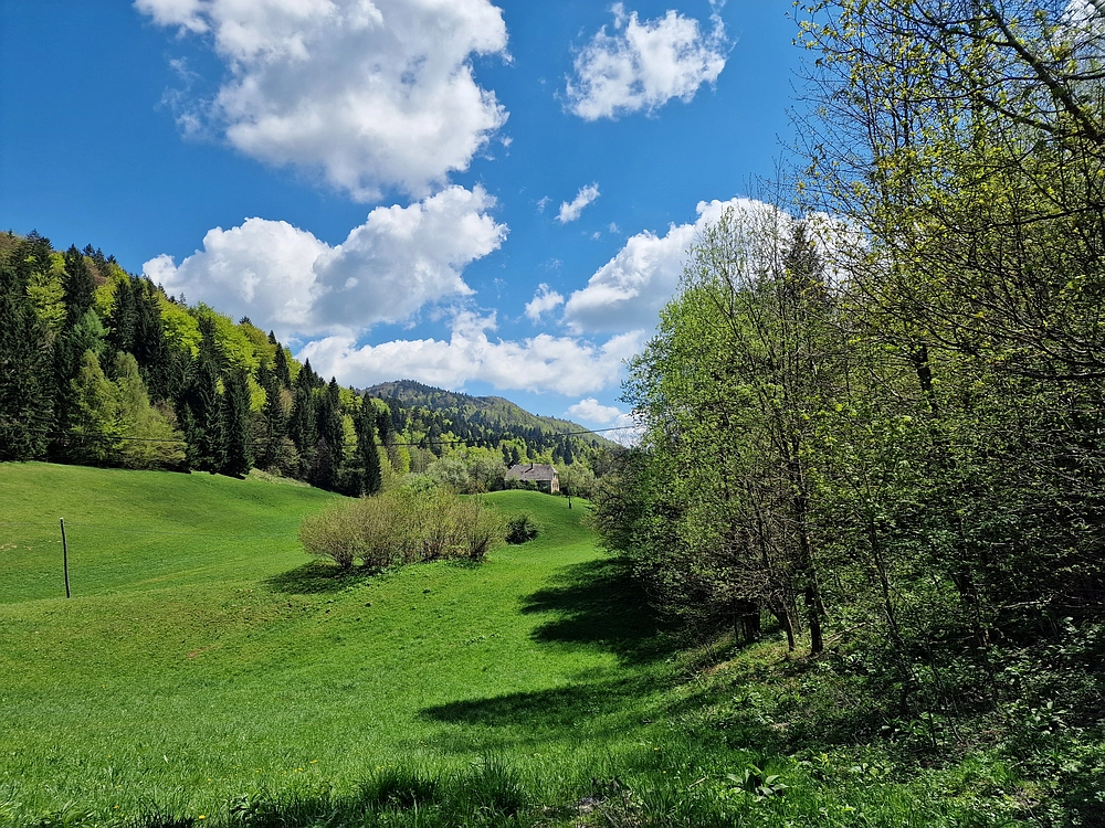 Slika je vidna v Google Chromu.