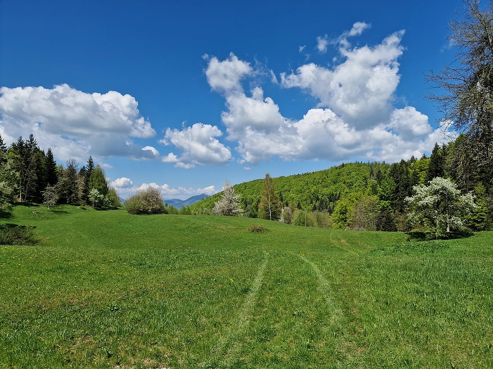 Slika je vidna v Google Chromu.