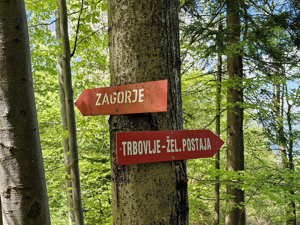 Slika je vidna v Google Chromu.