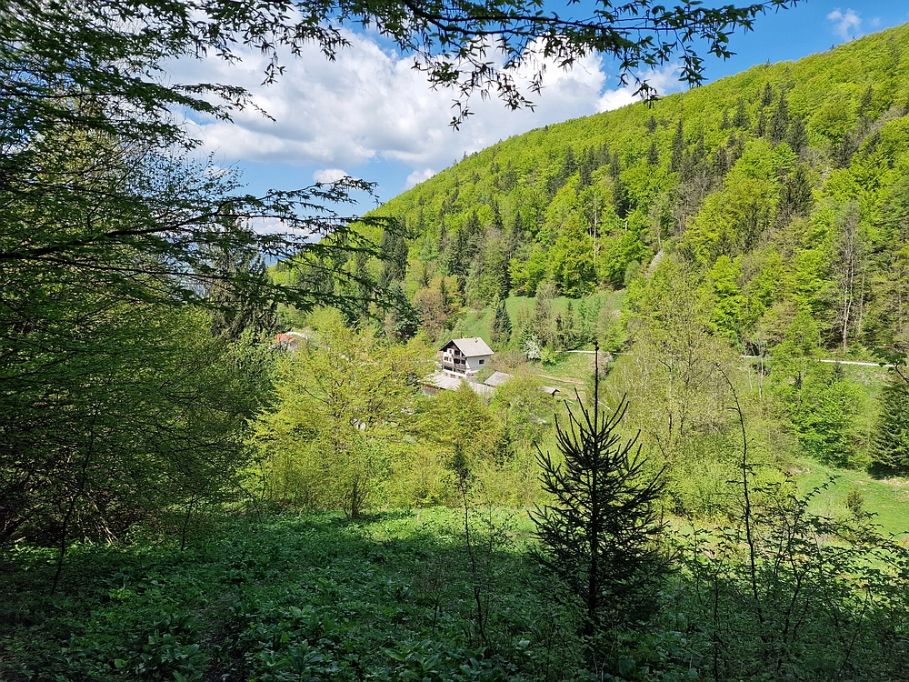 Slika je vidna v Google Chromu.