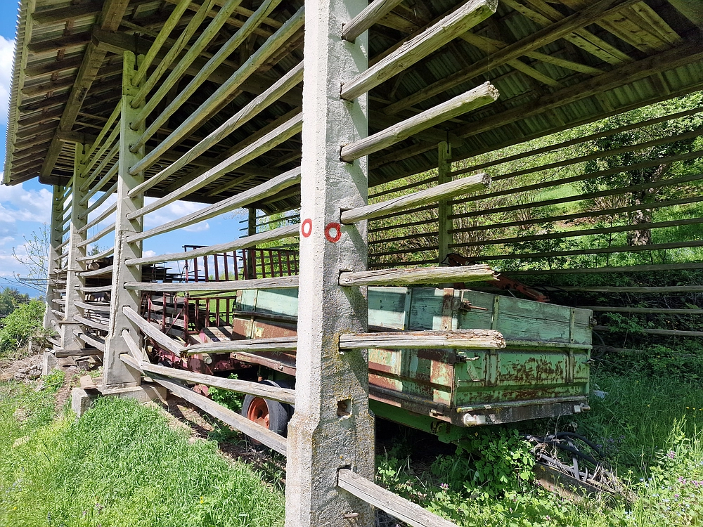 Slika je vidna v Google Chromu.