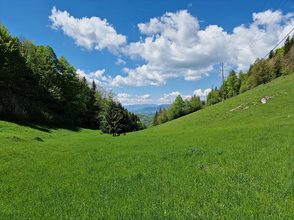 Slika je vidna v Google Chromu.