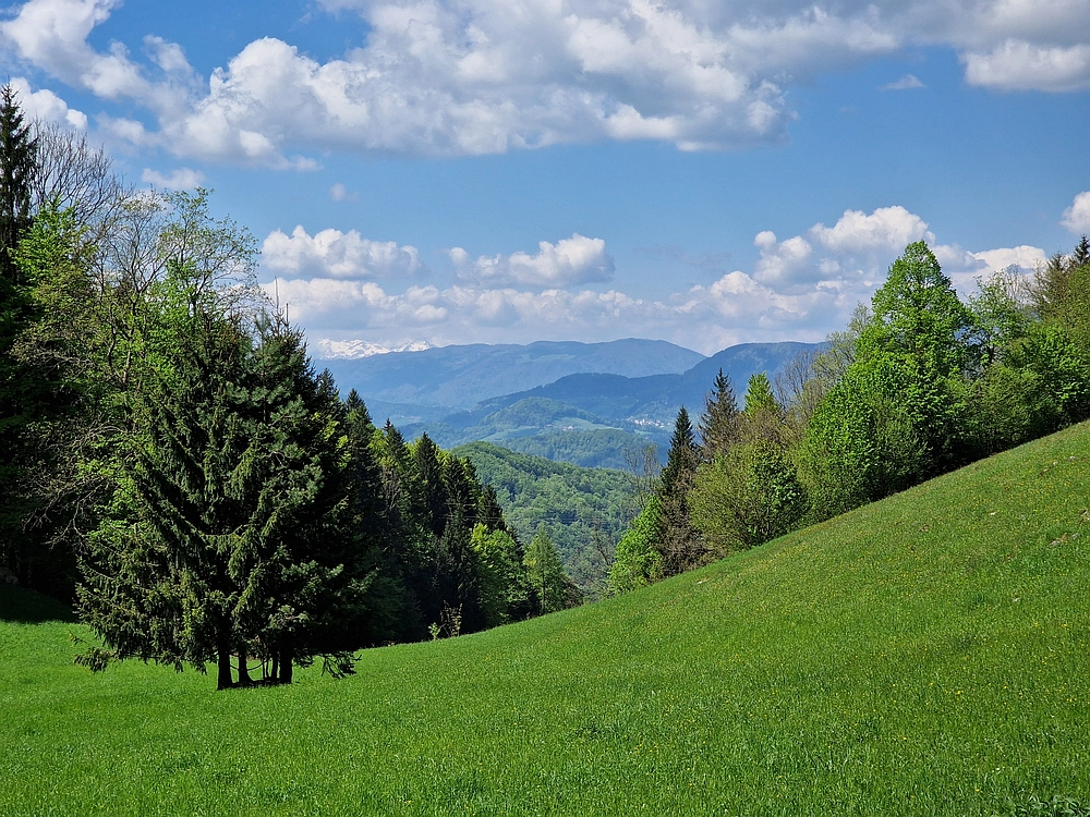 Slika je vidna v Google Chromu.