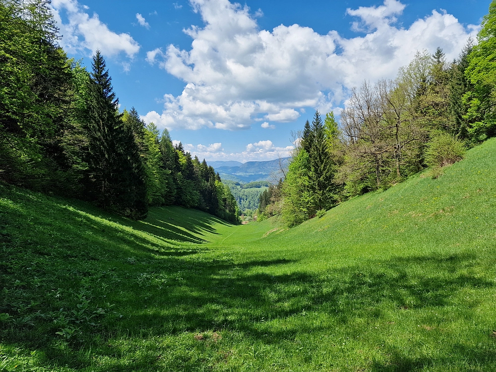 Slika je vidna v Google Chromu.