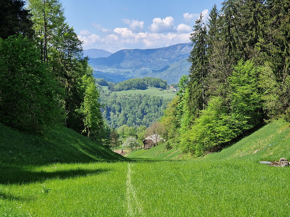 Slika je vidna v Google Chromu.