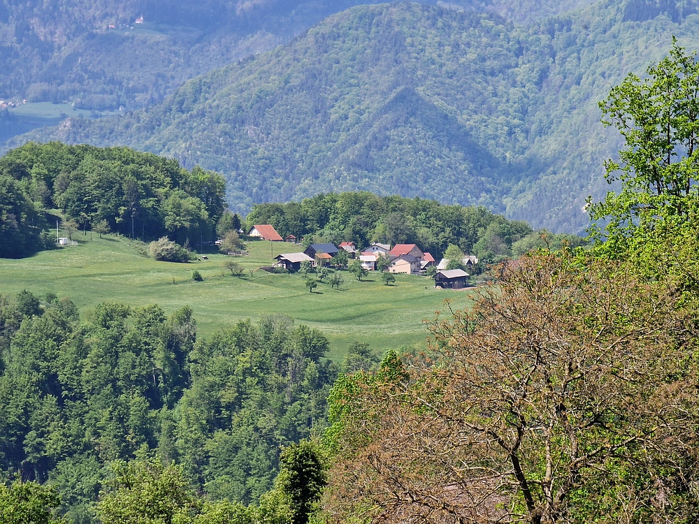 Slika je vidna v Google Chromu.