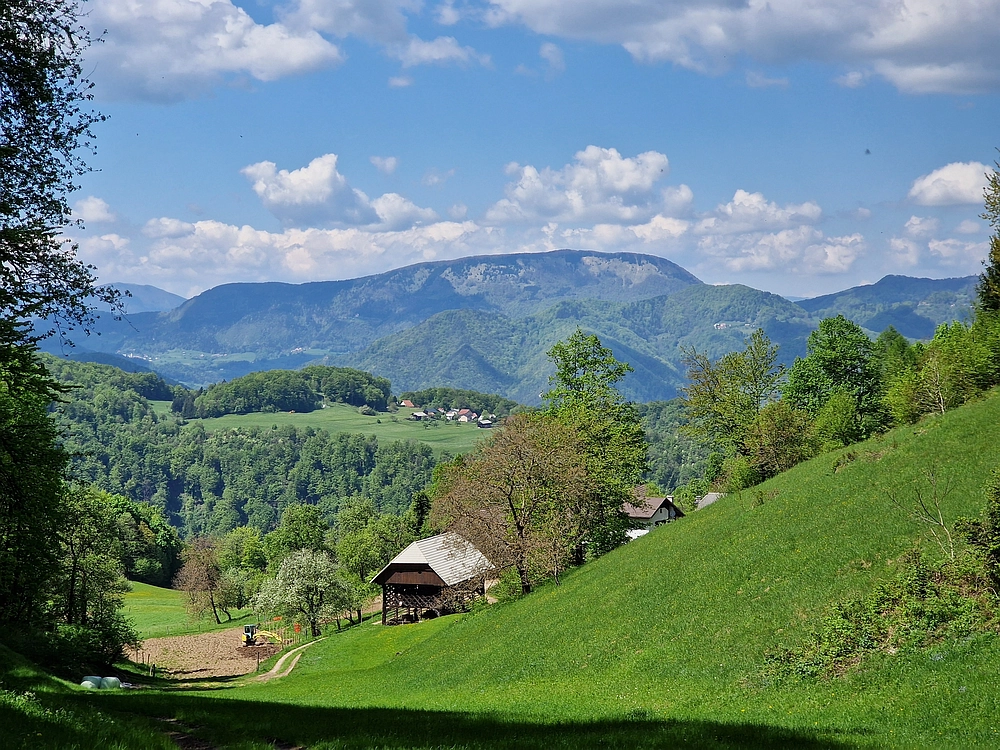 Slika je vidna v Google Chromu.