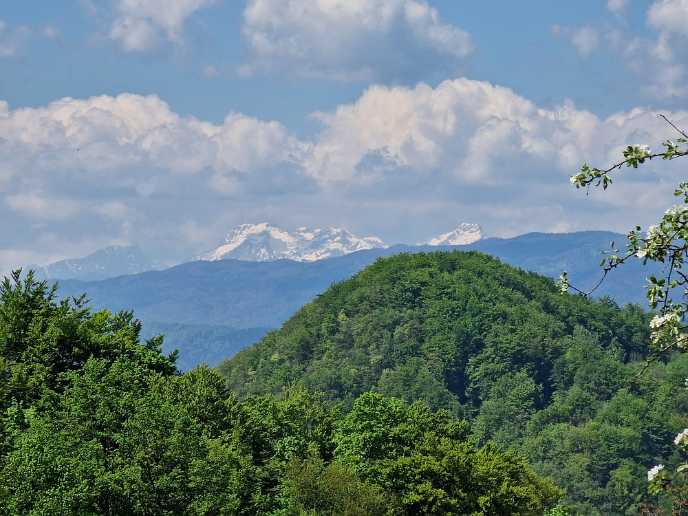 Slika je vidna v Google Chromu.